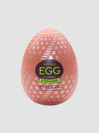 Masturbateur Tenga Egg Combo