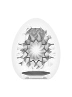 Masturbateur Tenga Egg Shiny II